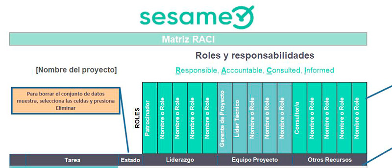 Ejemplo de plantilla de matriz raci