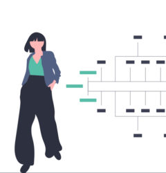 Work Breakdown Structure